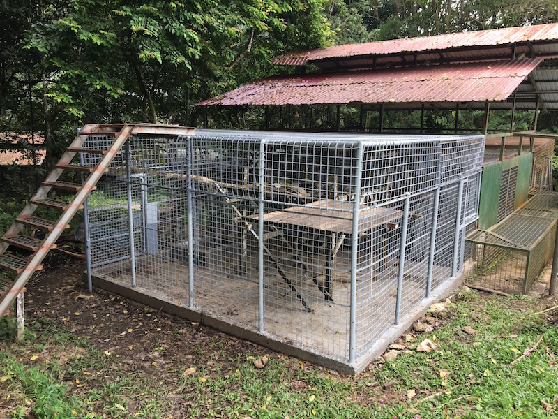 Cage extérieure rénové à Samboja