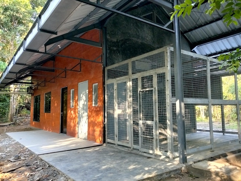 Baby House - Nov 2025